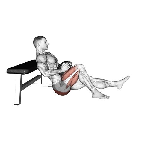 Image result for Hip Thrust Muscles