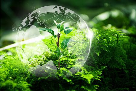 人类环境 的图像结果