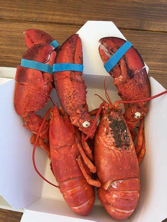 GOLDTHWAITE'S, Biddeford Pool - Menu, Prices & Restaurant Reviews ...