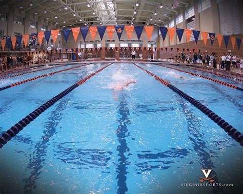 Swimming Desktop Wallpaper 的图像结果