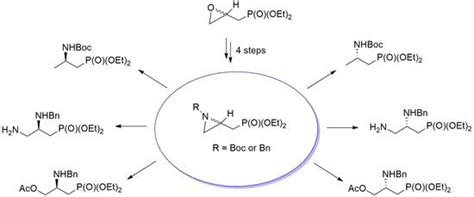 Synthesis of Enantiomerically Enriched Protected 2-Amino-, 2,3-Diamino ...