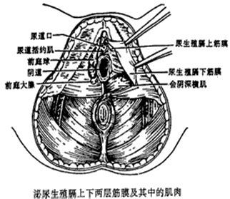 Image result for Virtual Science Lab