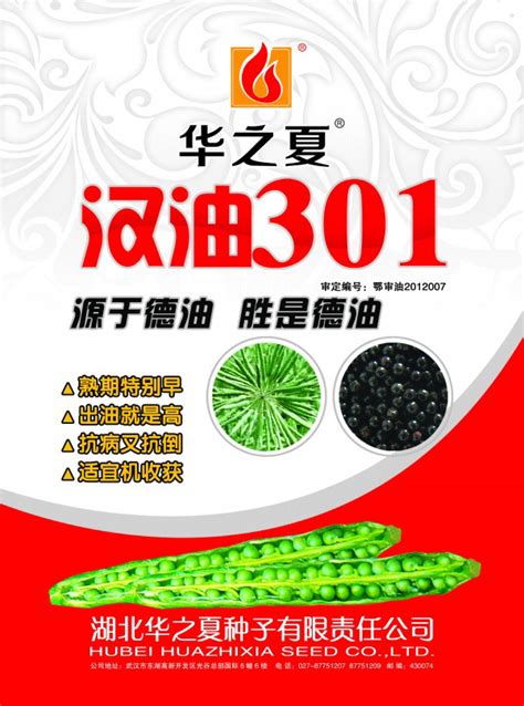 种子公司海报_素材中国sccnn.com