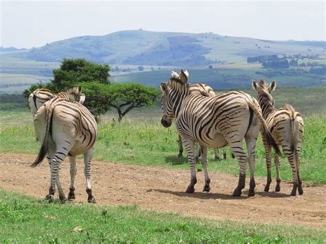THE BEST Pietermaritzburg Accessible Hotels 2025 (with Prices)