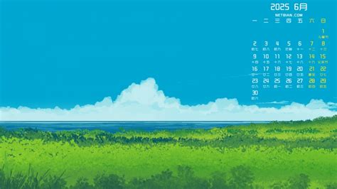 Run Shell Script 的图像结果