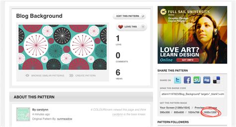Image result for Blog Custom