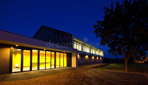 Day Night Sports 的图像结果