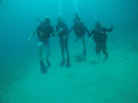 DIVE AND GREEN CAPURGANA - Inn Reviews, Photos, Rate Comparison ...