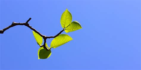 Image result for Drupal Posts