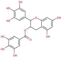 Exploring the Role of Ubiquitin-Proteasome System in the Pathogenesis ...
