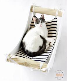 amaca a sedia amaca sedia sdraio per gatto keblog shop amaca a sedia amaca sedia sdraio per gatto keblog shop