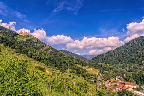 Nature Valley 的图像结果