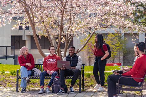 Search Our Courses - Department of Biology - York University