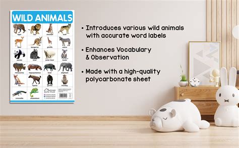 Buy Wild Animals - My First Early Learning Wall Chart: For Preschool ...
