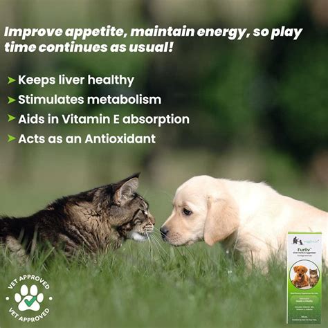 Buy Furliv™ Liver Tonic & Appetite Booster For Dogs & Cats - 200ml ...