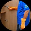 Top Pest Control Services in Kochi, Kerala | Amicare