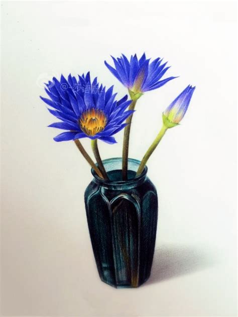 彩铅手绘 的图像结果