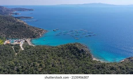 Small Fish Farm 的图像结果