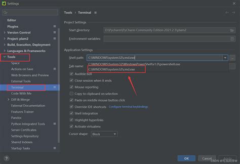 PyCharm Terminal 的图像结果