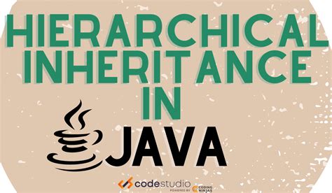 Image result for Example of Hierarchical Inheritance in Java