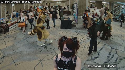 Fur Con AI on Twitter: "I'm a Afghan hound, Afghan, Come check out what ...