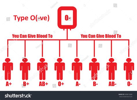 Blood Donationblood Group Type O Negative 스톡 일러스트 589812068 | Shutterstock
