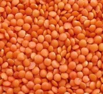 Organic Red Lentils Manufacturer, Supplier from Coimbatore