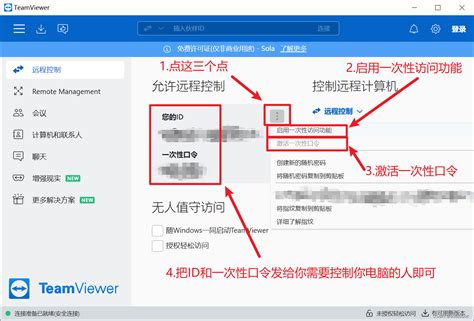 How to Connect TeamViewer 的图像结果