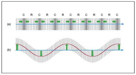 Ultrasound Elastography: Basic Principles and Examples of Clinical ...