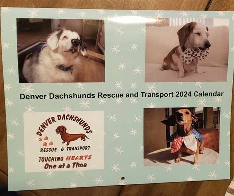 DDRT 2024 calendar – Denver Dachshund Rescue & Transport