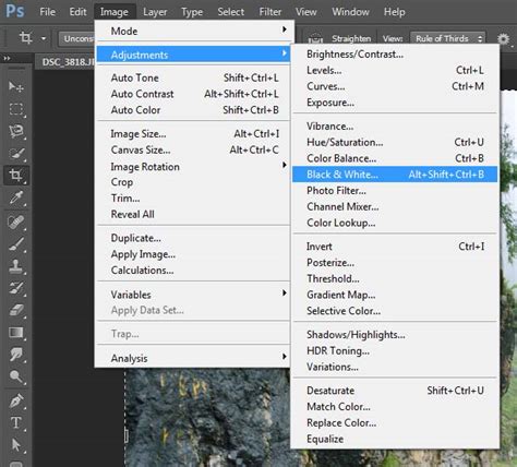 The Layers Panel Full-Course Tutorial 的图像结果