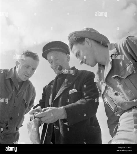 US TROOPS IN AN ENGLISH VILLAGE: EVERYDAY LIFE WITH THE AMERICANS IN ...