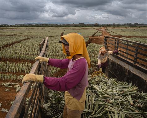 Philippine Poverty and Farm-Based Economy Have Roots in Colonial Era ...