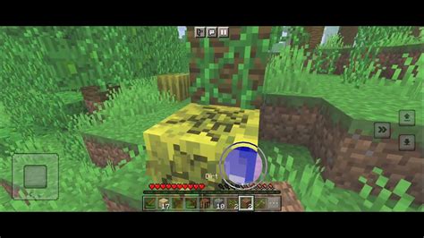 Image result for Minecraft Survival EP 1Pythonmc