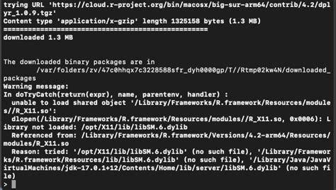 How to Install R Packages 的图像结果