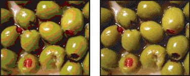 Export image and animated GIF options