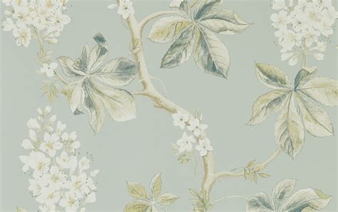 wallpaper iphone sage green