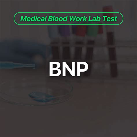 Image result for Quest BNP Process Lab