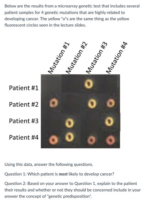 Microarray Test 的图像结果