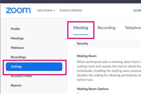 Setting Zoom Defaults 的图像结果