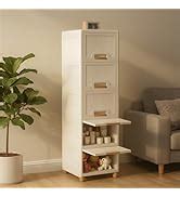 JD Fresh 4 Pieces Stackable Wardrobe Organizer for Storage/Foldable ...