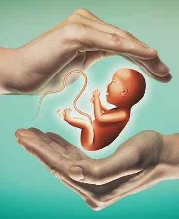 bareilly`s top ivf centre