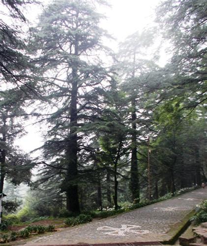 About Dharamsala, Introduction to Dharamsala, Dharamsala Overview