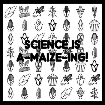 SCIENCE IS A-MAIZE-ING! Corn Bulletin Board Activity 3x3 feet school ...