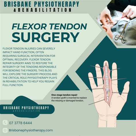 Flexor Tendon Repair Surgery: What to Expect and the Importance of ...