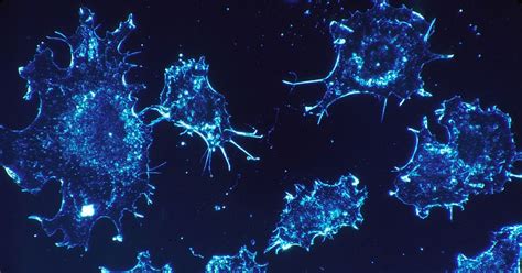 Work of 700 scientists on cancer cells’ genetic makeup is the next big ...
