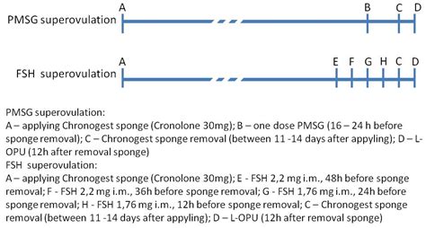 L-OPU in Goat and Sheep—Different Variants of the Oocyte Recovery Method