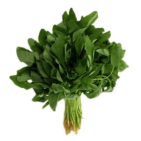 Bathua Seeds Hybrids F1 Vegetable Seeds for Home Garden for Planting ...