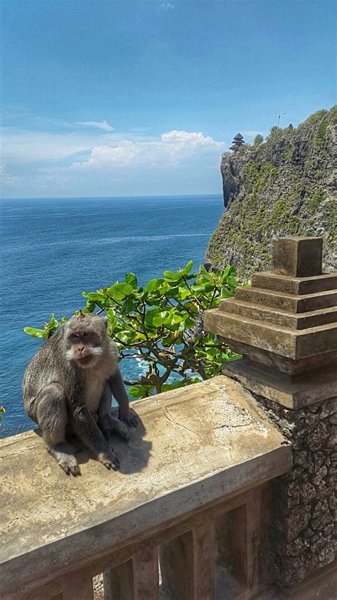 Where To Stay In Bali: Best Places & Areas For First Timers | Bali ...