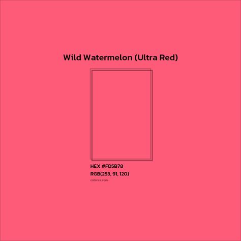 About Wild Watermelon (Ultra Red) - Color codes and meaning | Matching ...